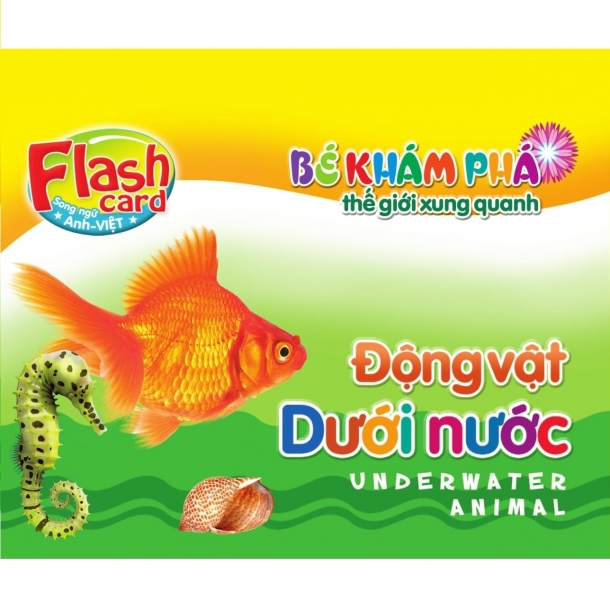 Flash card - Bé khám phá TGXQ - Động vật dưới nước